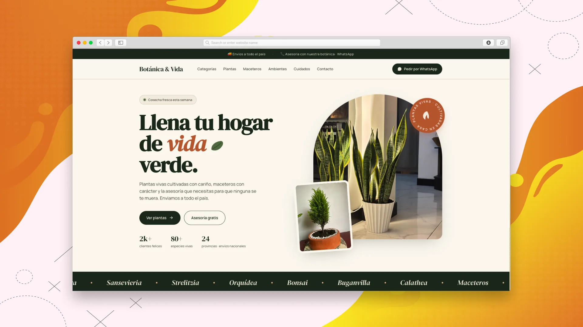 Botánica y Vida — tienda de plantas